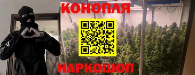каннабис Кингисепп