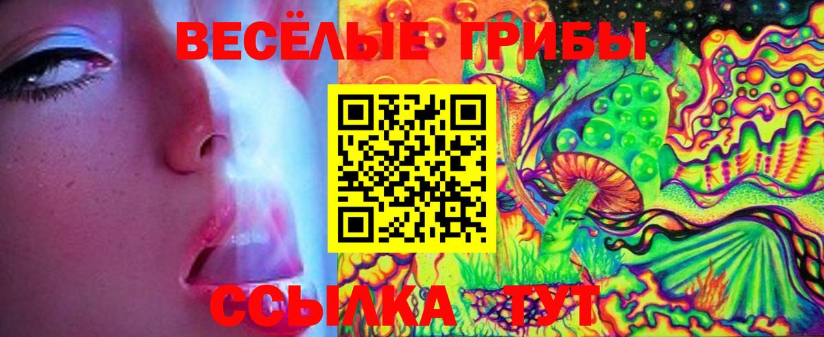 Галлюциногенные грибы GOLDEN TEACHER Краснодар